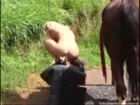 [ Beastiality XXX and Animal Sex ] golden-haired making horse cum